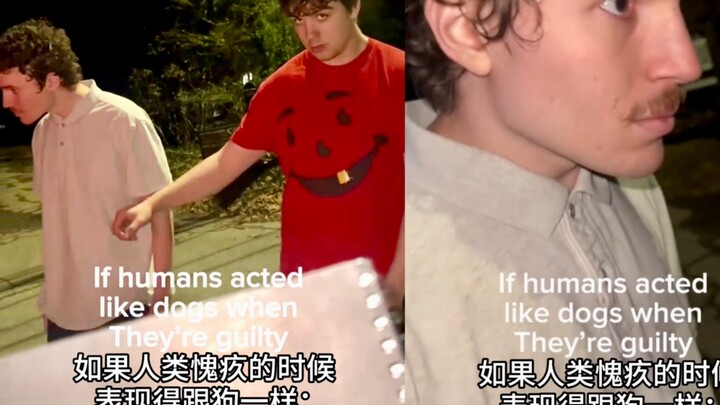 如果人类做错事愧疚的时候表现得跟狗一样