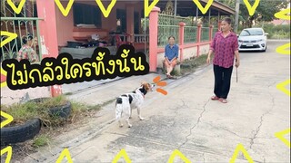 โลกของแสนดี ตอน เก่งสุดในซอย!!
