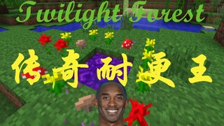 The legendary stamina king Twilight Forest just got a major update? Let's take a quick three-minute 