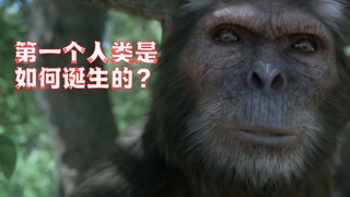 第一个人类是谁？