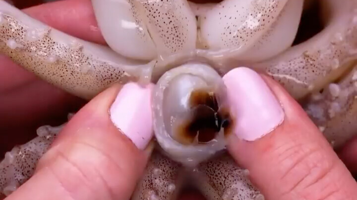 Food Hackers Around the World