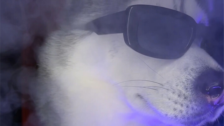 Chỉ cần bật đèn, đeo kính râm là cảm giác ngay lập tức xuất hiện mà.