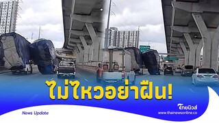 เพื่อนไม่ทิ้งกัน แม้ในวันที่อ่อนแรง ชาวเน็ตลุ้นตาม|Thainews - ไทยนิวส์|ENT-16-SS