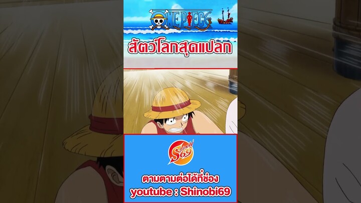 ONE PIECE : ลิงทะเล #สัตว์โลกสุดแปลก #วันพีช #ワンピース #luffy  #ผลปีศาจ #funny #นกเป็ดน้ำ