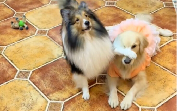 Bagian mana yang paling sakit? Jurus omong kosong sih benar-benar menyebalkan!