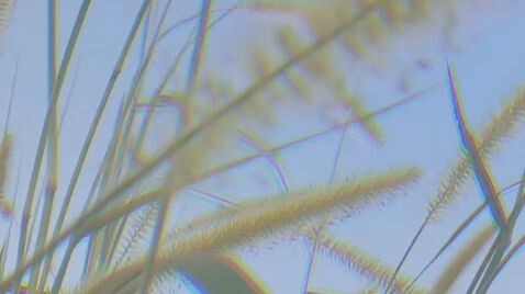 butterfly@#