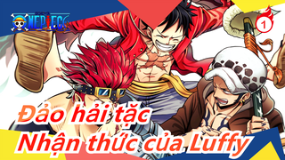 [Đảo hải tặc /Khỉ D. Luffy /Buồn & Hoành tráng] Mọi nỗi buồn đều là hậu quả của việc không đủ mạnh_1