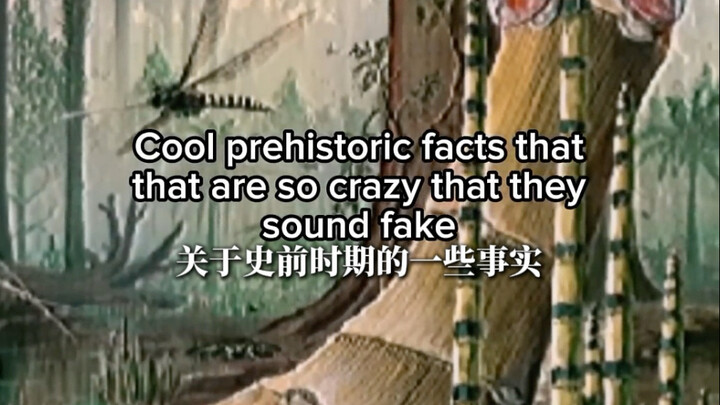 Những sự thật về thời kỳ tiền sử