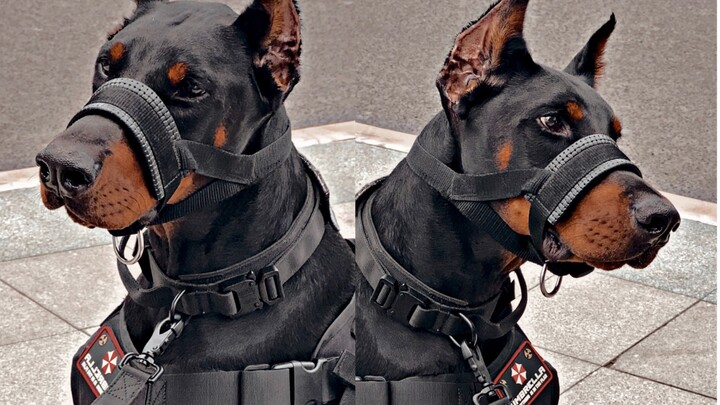 Waktunya matikan lampu