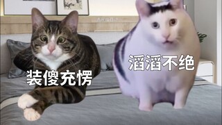 Khi bạn trai tôi rất thích lý luận!