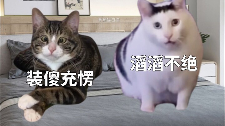 เมื่อแฟนของฉันชอบใช้เหตุผลมากเหลือเกิน!