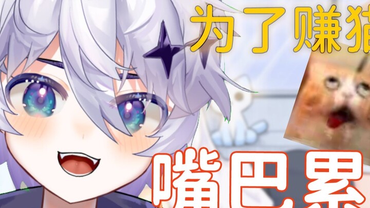 Thức ăn cho mèo không hề dễ làm và miệng tôi gần như trật khớp vì kiệt sức.