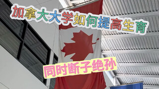 You still underestimated how open Canada is—now they're even offering door-to-door service?