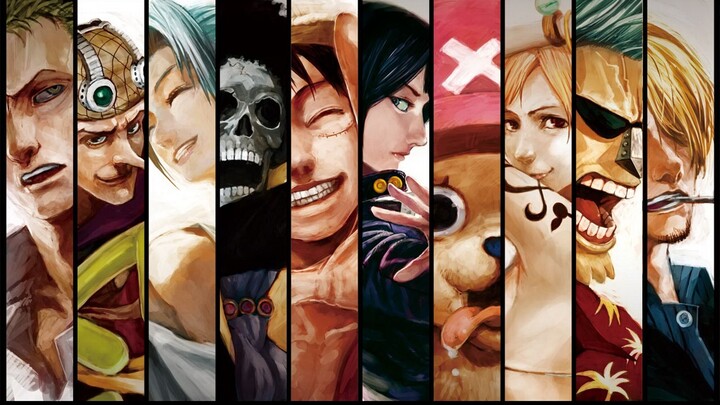 [วันพีซ/Microflame] Battle diary ของสมาชิกทุกคน