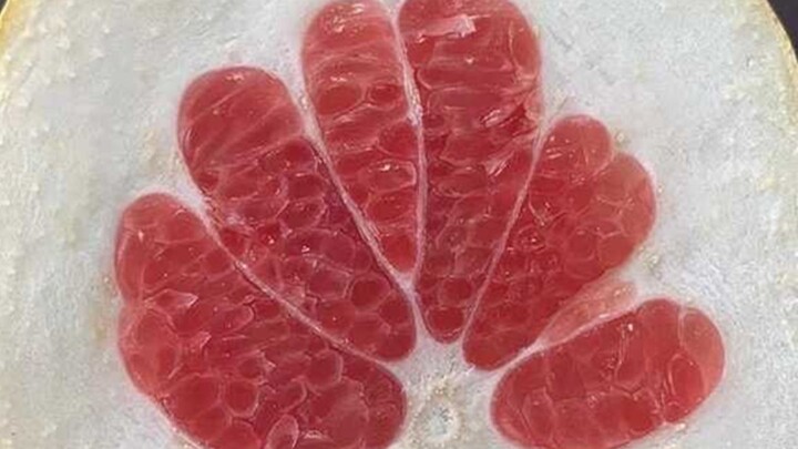 Experts are among the people, but one wrong move and it’s game over! Compilation of Reckless Blunder