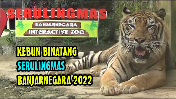 SERULINGMAS ZOO 2022 BANJARNEGARA