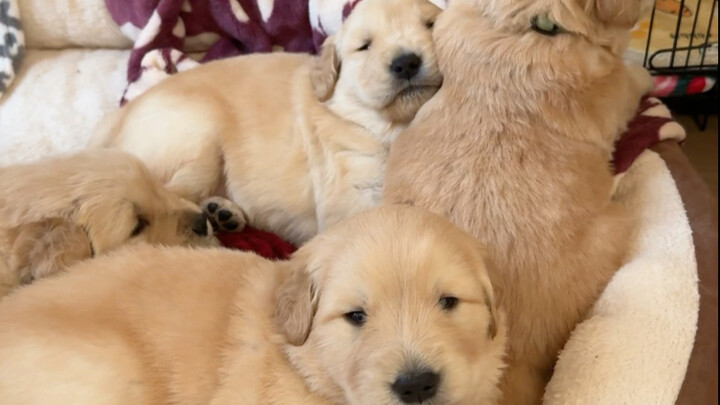 原件正确，复印件…也正确了