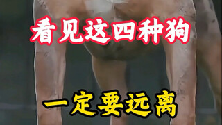 If you see these four types of dogs, walk away immediately.