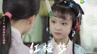 【混剪】小戏骨红楼梦‖由繁盛到衰败