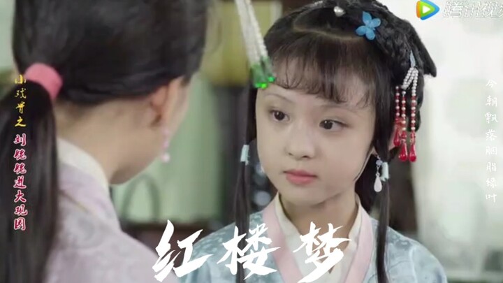 【混剪】小戏骨红楼梦‖由繁盛到衰败