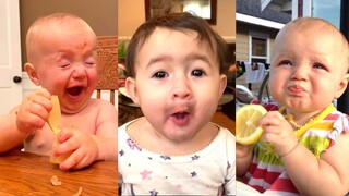 Try Not To Laugh : Fun and Fails Babies Eating Lemons for the First Time | Funny Videos
