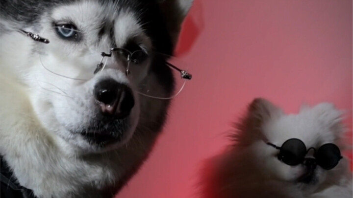 مين سمحلك تلمسني؟