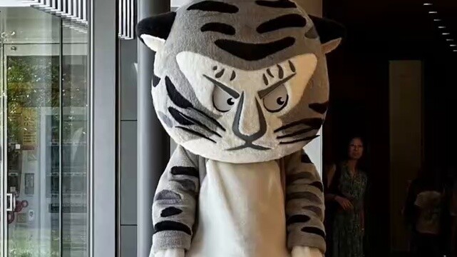 What are you doing in Luoyang's museums? The world's earliest lucky cat, comparable to a civet cat p