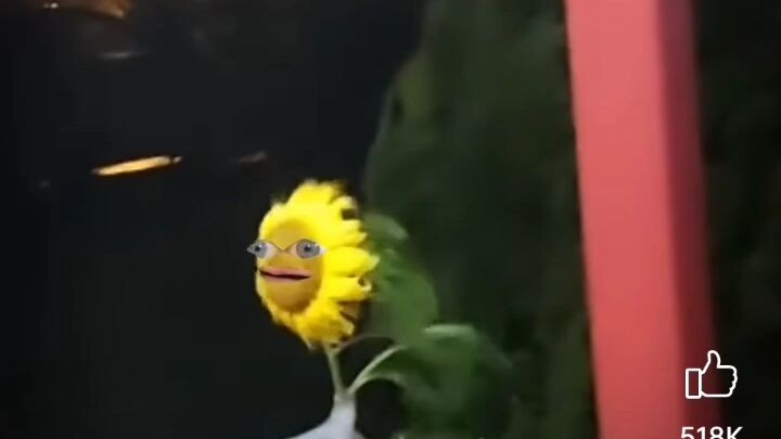when you drunk but the music hits you