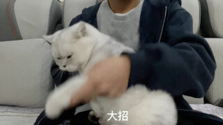 Đoán xem đây là vị tướng nào trong Vương Giả荣耀