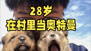 我在村里，同时打着几十份工