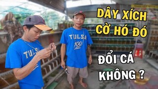 Tặng Anh Nhí cộng DÂY CHUYỀN BẠC để xin cá chọi về nuôi và cái kết