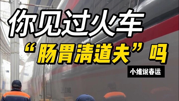 Have you ever seen the "gut cleaner" of trains?