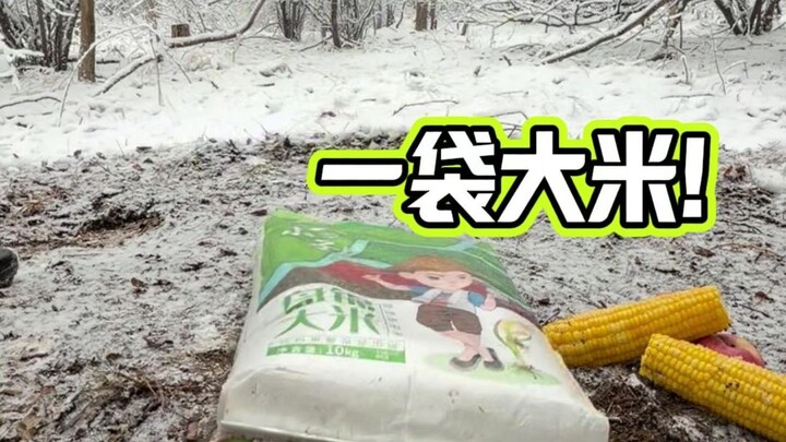 Day 186 | A Bag of Rice Has the Mountain Animals Going Wild!