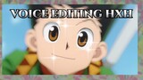 trying to edit hxh sub in to dub