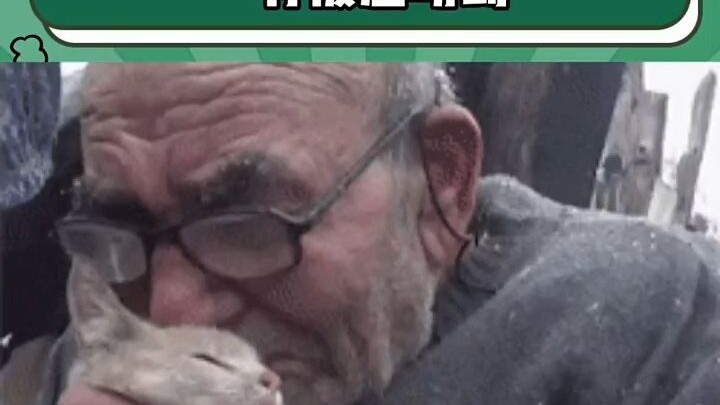 น่ารักจนซึ้งใจ ลูกหมาแสนสุขจังเลย!