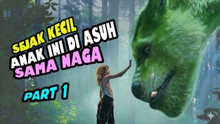 PERSAHABATAN SEORANG ANAK KECIL DENGAN SEEKOR NAGA. || Part 1  ||  #alurceritafilm