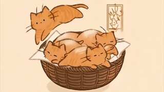 「不同猫咪的产生形式」