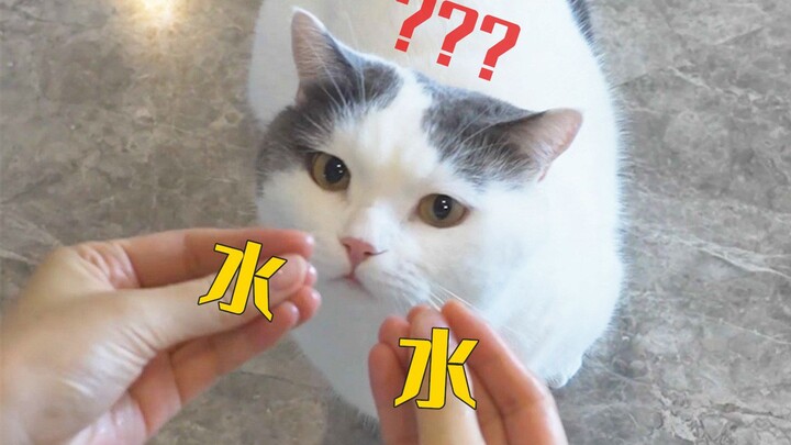 ความไว้วางใจที่แมวมีต่อมนุษย์ก็ค่อยๆ ถูกทำลายลงทีละขั้นแบบนี้เอง