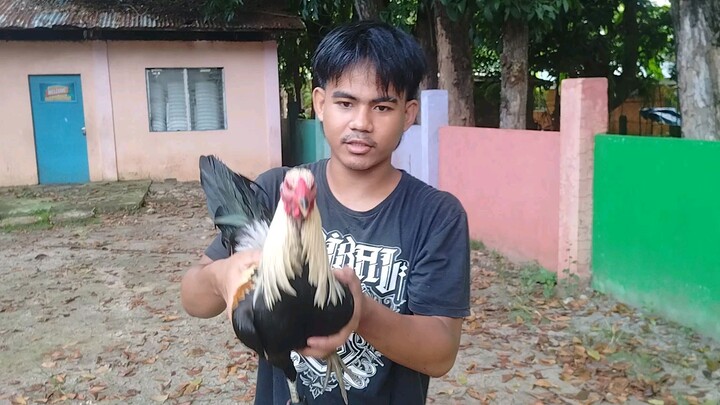 white kelso exercise