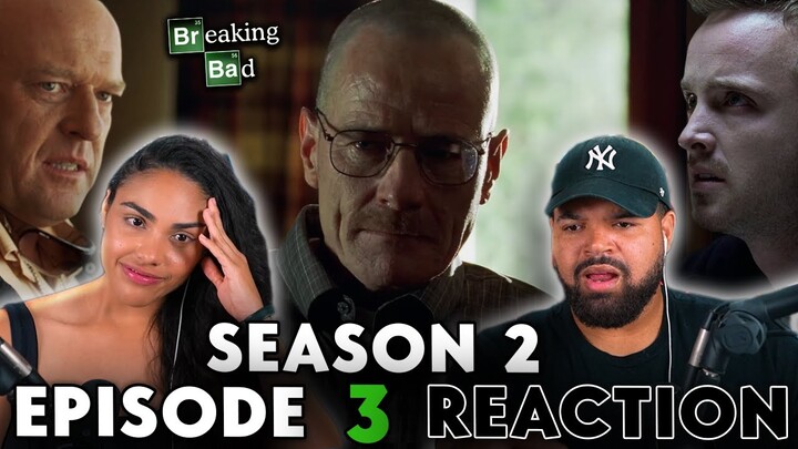 BIT BY A DEAD BEE | Breaking Bad Season 2 Episode 3 Reaction