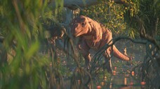 (Episode 3) Rexy and the Hungry Birds - Funny Dinosaur Cartoon for Families (HD)