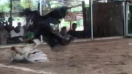 Straight Comb Boston Sweater! ❤️🤘