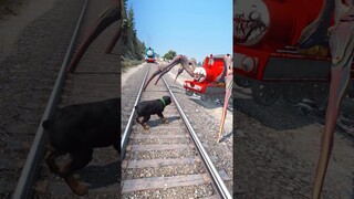 GTA V: THOMAS THE TRAIN SAVING CHOP FROM CHOO CHOO CHARLES #shorts