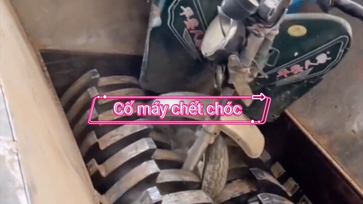 Cố máy chết chóc.