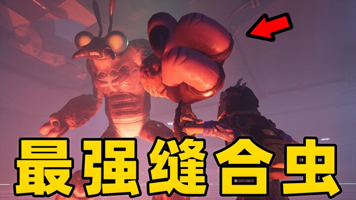 Insects + Humans + Fungi + Plants: A Dark Experiment for Survival