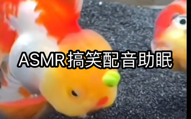 Suara Hewan untuk Membantu Tidur