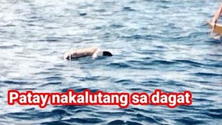 Katawan ng tao natagpuan nakalutang sa gitna ng dagat #KamoimoiTv