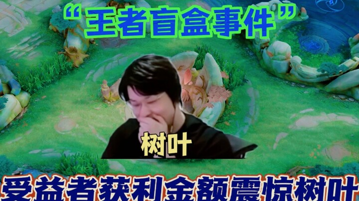 盲盒事件树叶吃到内部大瓜，看到参与者获利金额后：不会被灭口吧