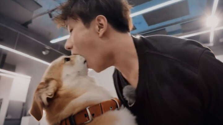 "A Good Dog, A Good Dog"