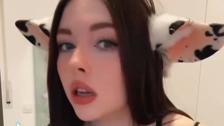 I am your pet